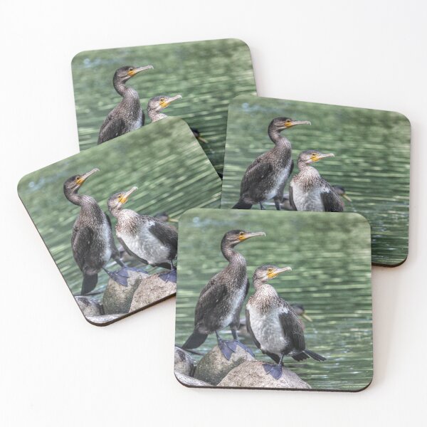 Item preview, Cormorants designed and sold by AriusLT.