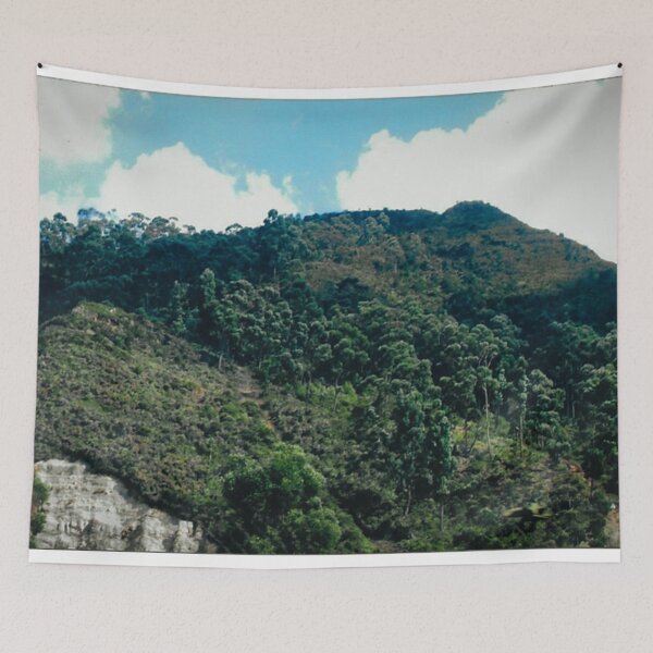 Aperçu de l'œuvre Bogota, montagnes des Andes créée et vendue par Tess Salazar Espinoza.
