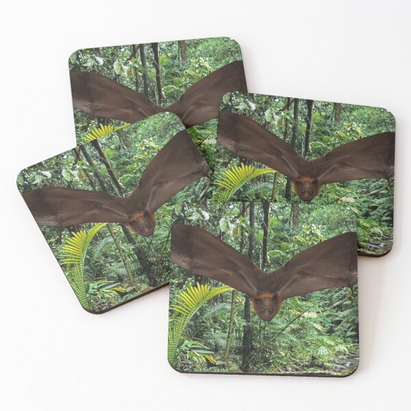 Item preview, Bunny The Bat In Rainforest. designed and sold by BabyBats.