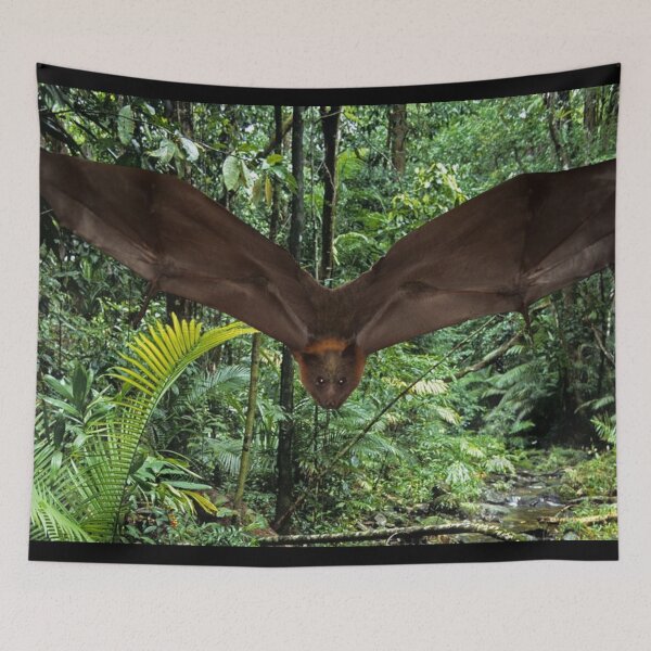 Item preview, Bunny The Bat In Rainforest. designed and sold by BabyBats.
