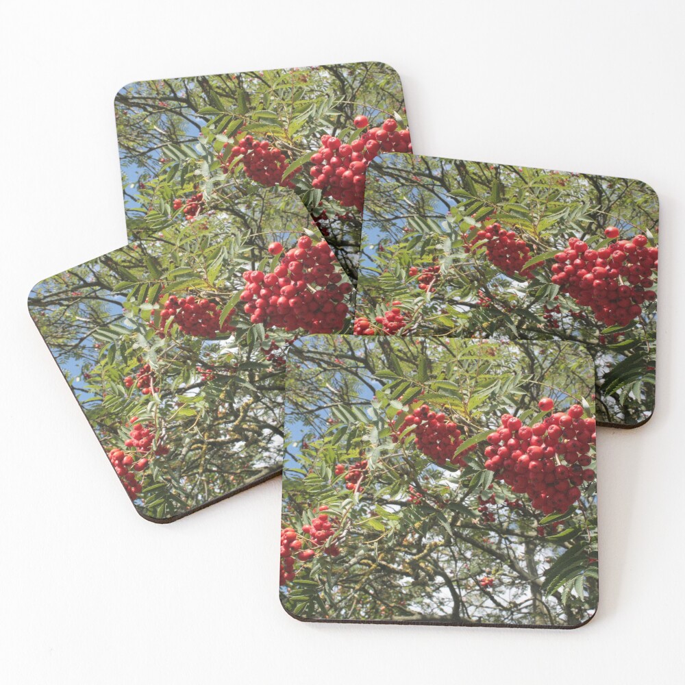 Item preview, Coasters (Set of 4) designed and sold by DesignsofNote.