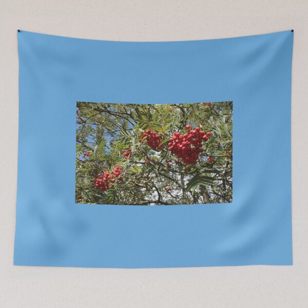 Tapestry