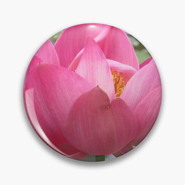 Item preview, Giant Lotus Australia designed and sold by Genevieve Hanlon Art and Photography.