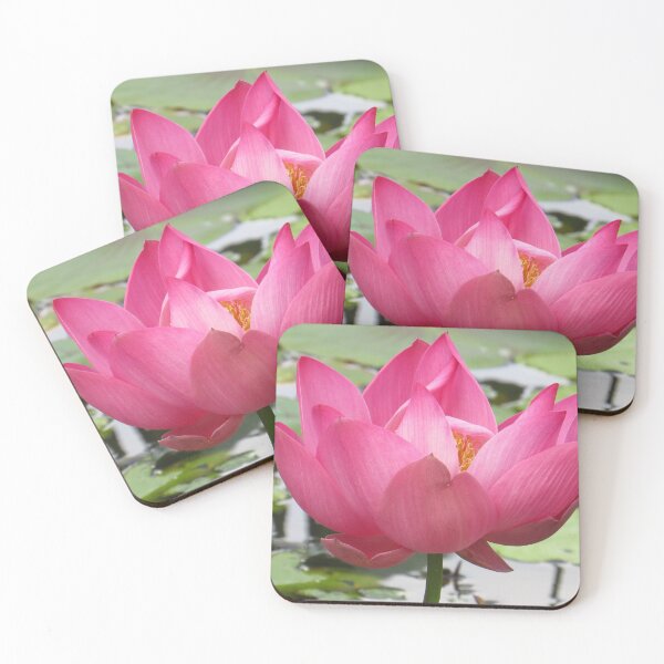 Item preview, Giant Lotus Australia designed and sold by Genevieve Hanlon Art and Photography.