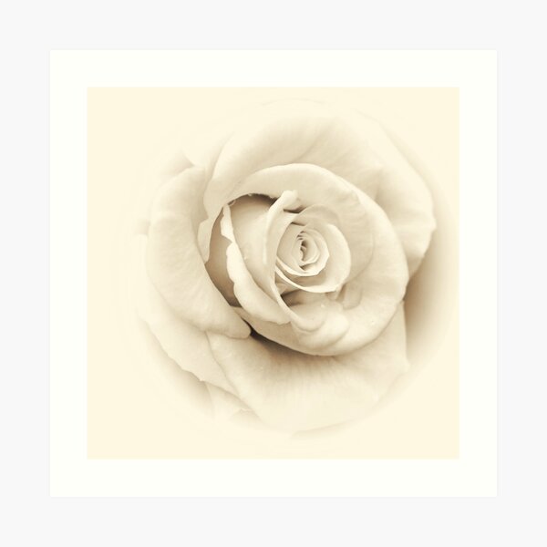 The Power Of Love .... Art Print