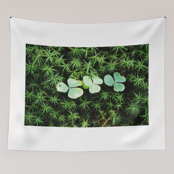 Item preview, Forest floor with moss designed and sold by ToniStauche.