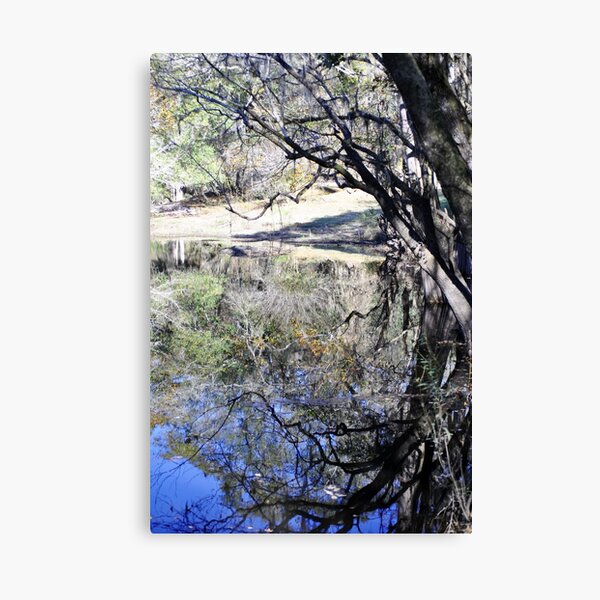 Up is Down and Down is Up Canvas Print