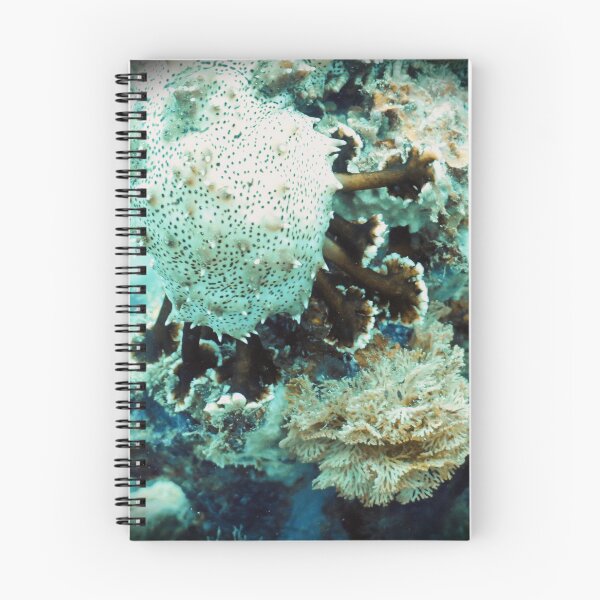 Item preview, The Feasting of the Sea Cucumber designed and sold by ocean-friends.