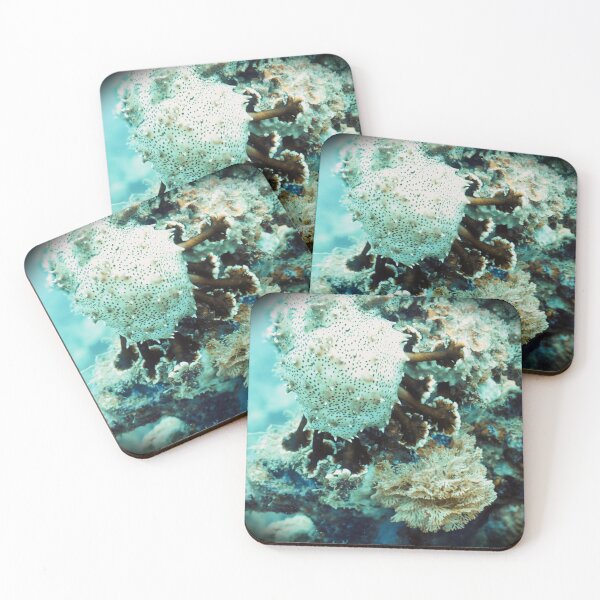 Item preview, The Feasting of the Sea Cucumber designed and sold by ocean-friends.