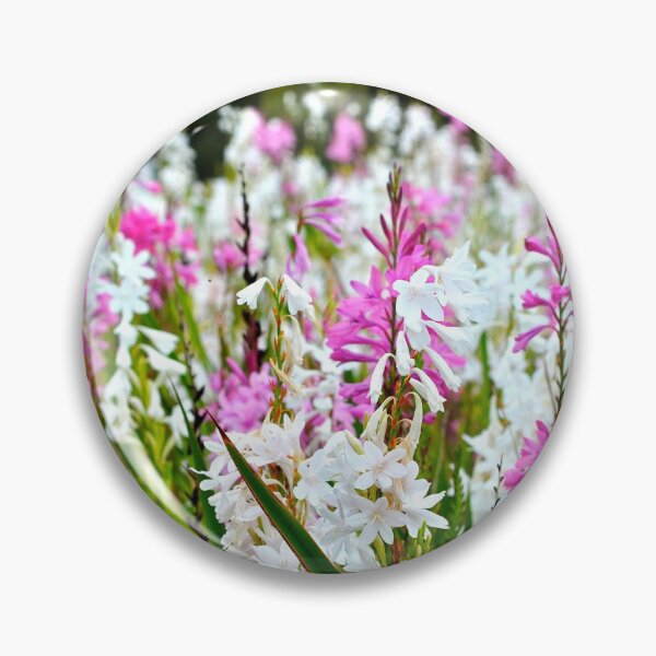 Artikelvorschau, Frühlingsfarbe entworfen und verkauft von Rainbow Farm Photography.