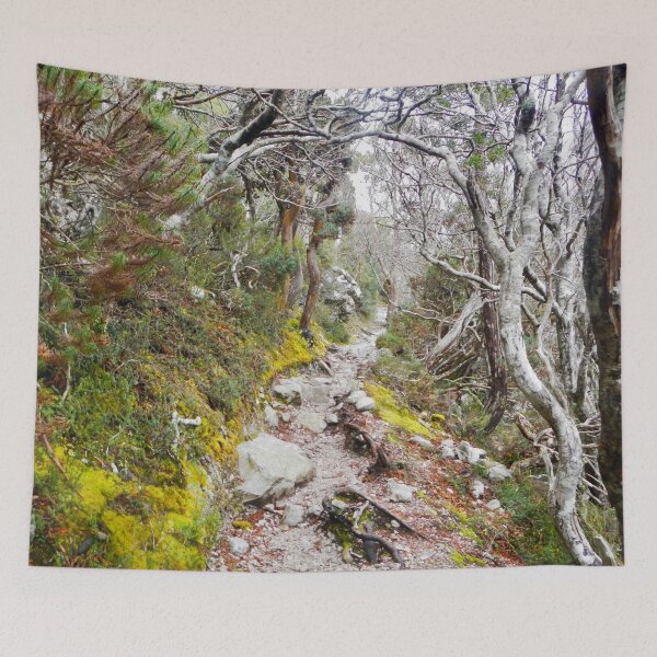 Item preview, Winter Walk, Wilsons Promontory designed and sold by ajdesignsau.