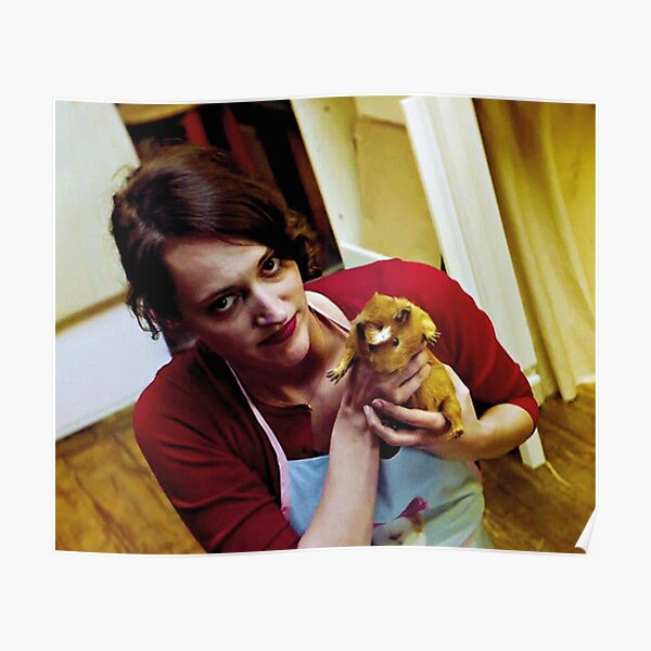 Fleabag and guinnea pig Poster