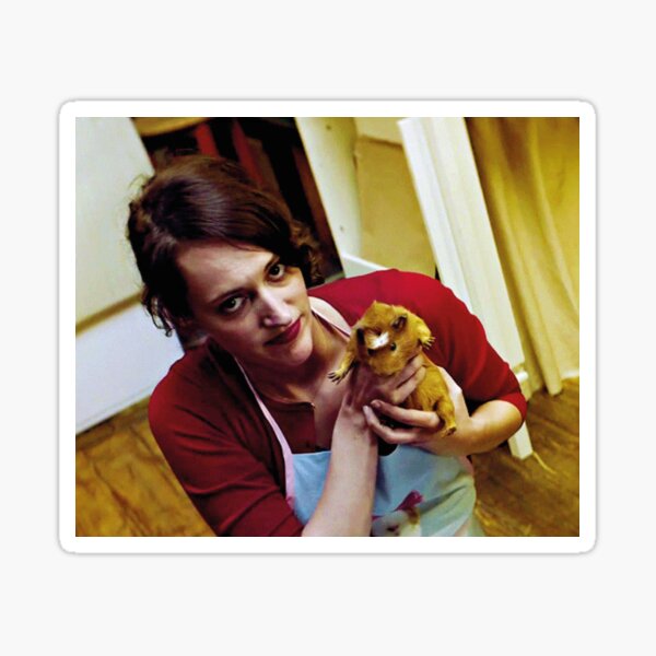 Fleabag and guinnea pig Sticker