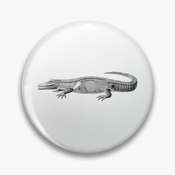 Item preview, crocodile x-ray designed and sold by mrJays.