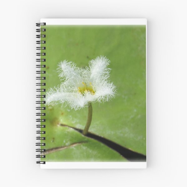 Item preview, Snowflake Waterlily designed and sold by Genevieve Hanlon Art and Photography.