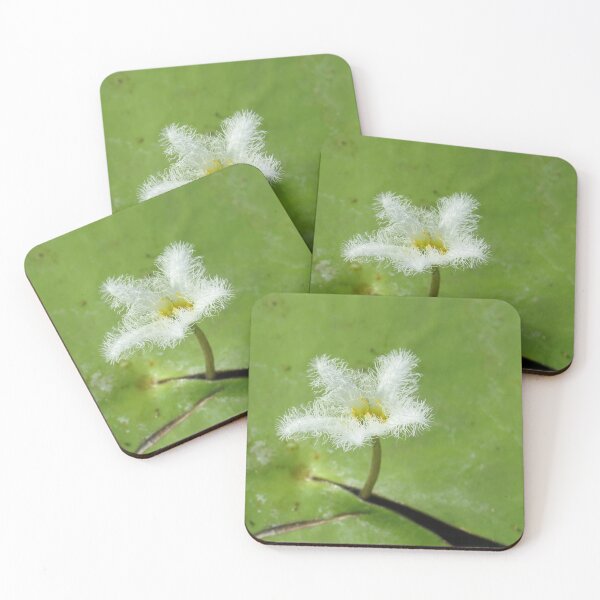 Item preview, Snowflake Waterlily designed and sold by Genevieve Hanlon Art and Photography.