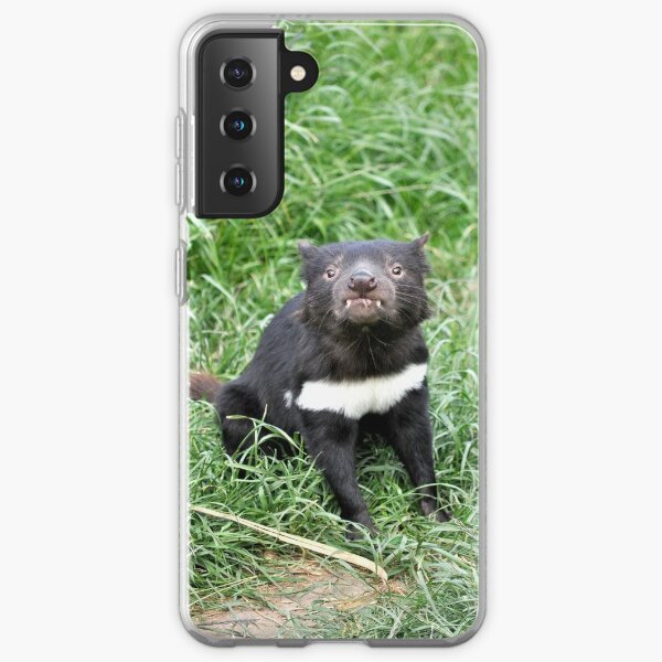 Coques Sur Le Theme Diable De Tasmanie Pour Samsung Galaxy Redbubble