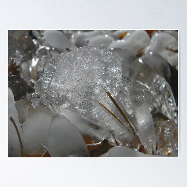 Artikelvorschau, Crystal Ram's Head entworfen und verkauft von FloraBelle.