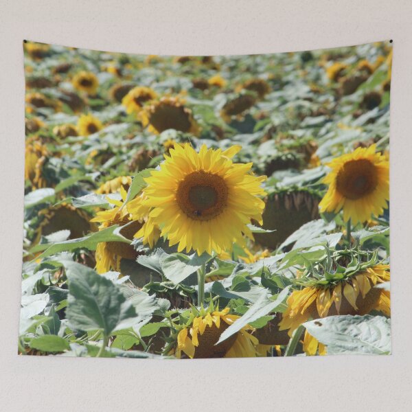 Item preview, Patch of Sunflowers designed and sold by Susie Kramer.