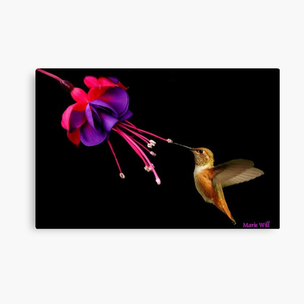 Item preview, A BEAUTIFUL SIGHT TO VIEW... designed and sold by RoseMarie747.