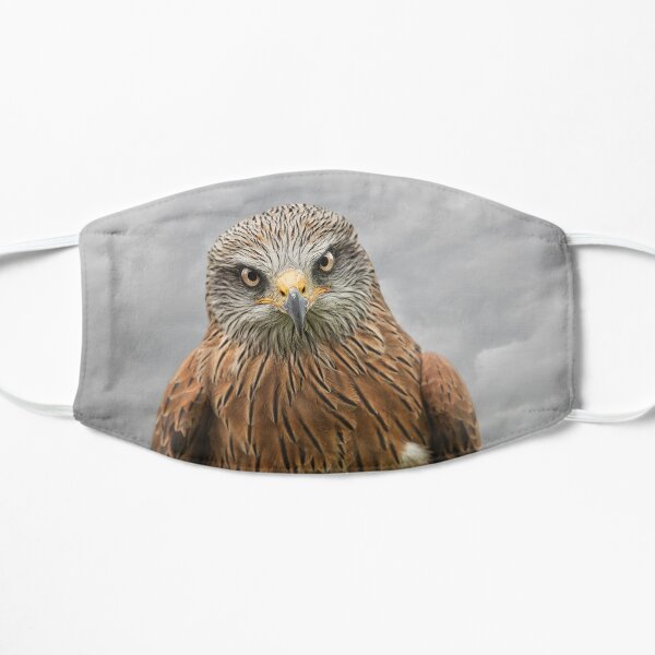 Who's looking at you Mask
