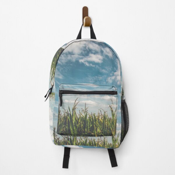 Item preview, Look up get lost designed and sold by Freewheeling.