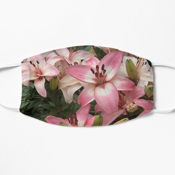 Gorgeous array of Pink and White Lilies in a Garden Flat Mask
