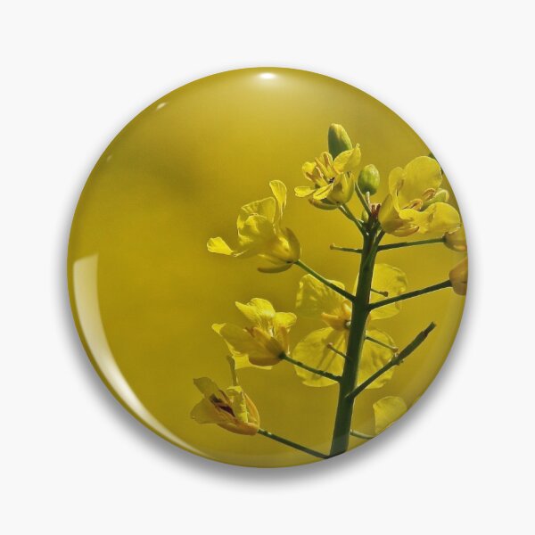 Yellow Flowers Pin