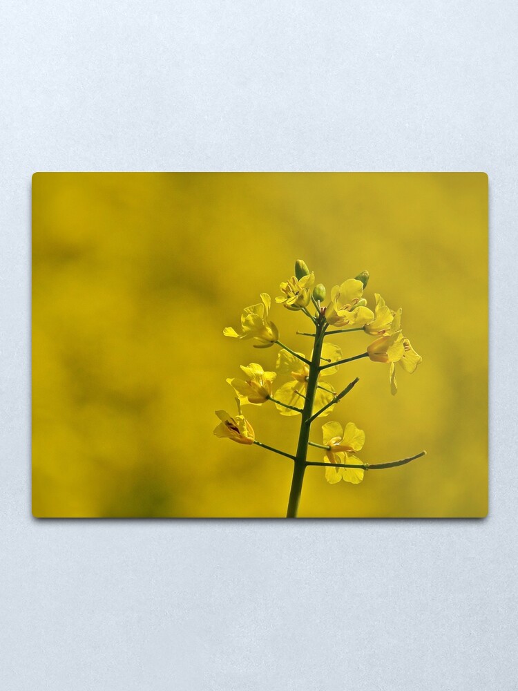 Alternate view of Yellow Flowers Metal Print