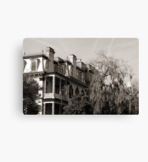 Savannah Elegance Canvas Print