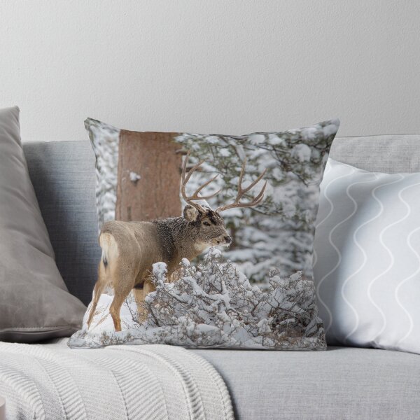 Artikelvorschau, Schneebedeckter Buck entworfen und verkauft von Ken Fleming.