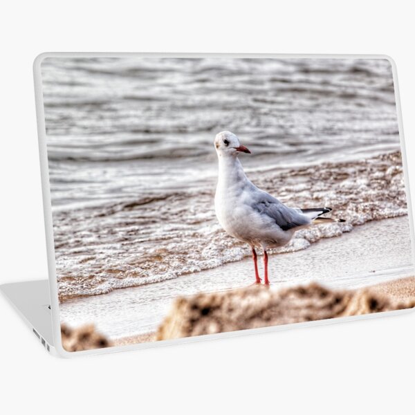 Seagull Laptop Skin
