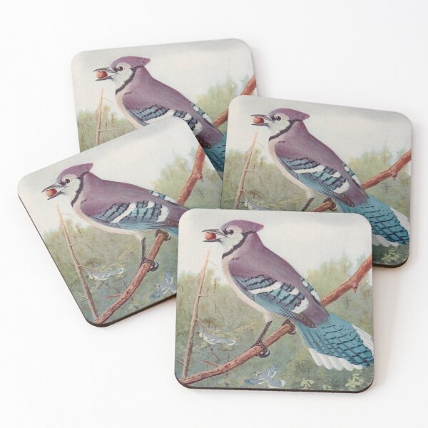 Artikelvorschau, Blue Jay illustration entworfen und verkauft von Vintage Designs +.
