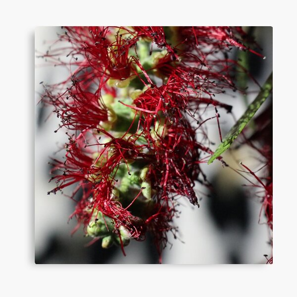 Item preview, Aussie Grown, 1  designed and sold by Geoff Treagus.