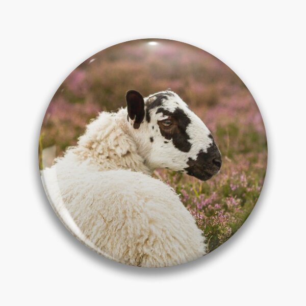 Artikelvorschau, Ewe, folgt ihr immer noch? entworfen und verkauft von Jane Stanley Photography.