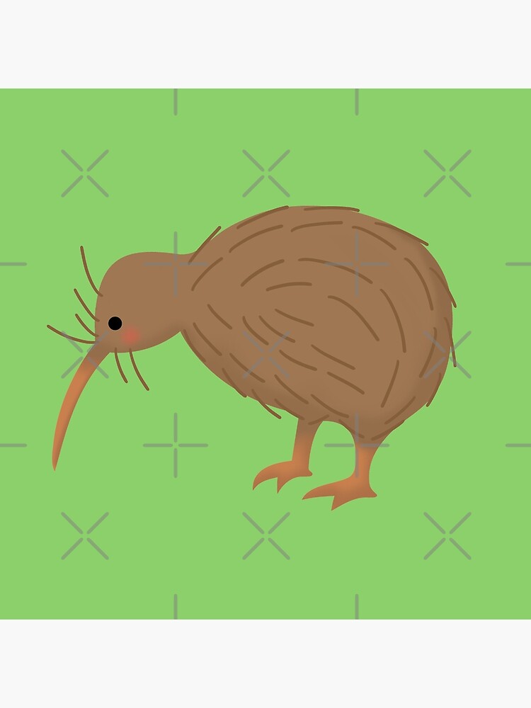 Cute New Zealand Kiwi Bird