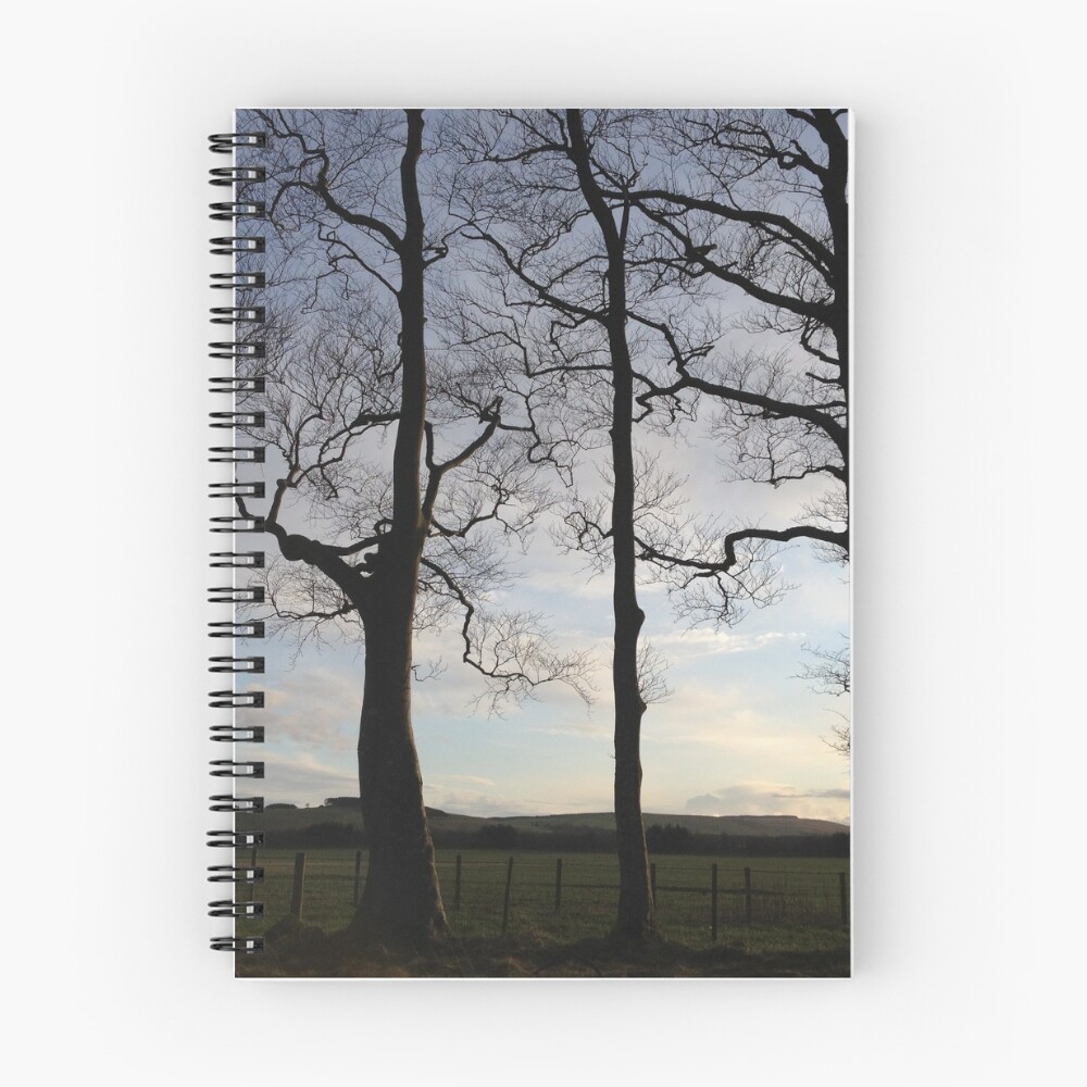 Vista previa del artículo con la obra «Cuaderno de espiral», diseñado y vendido por chewi.