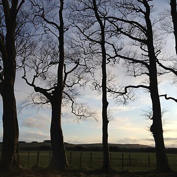 Imagen de la obra Stand To Attention de chewi