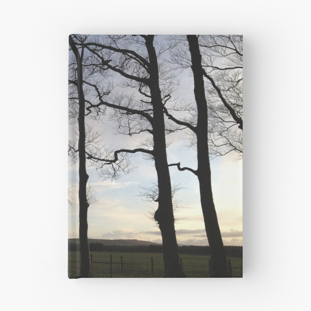 Vista previa del artículo con la obra «Cuaderno de tapa dura», diseñado y vendido por chewi.