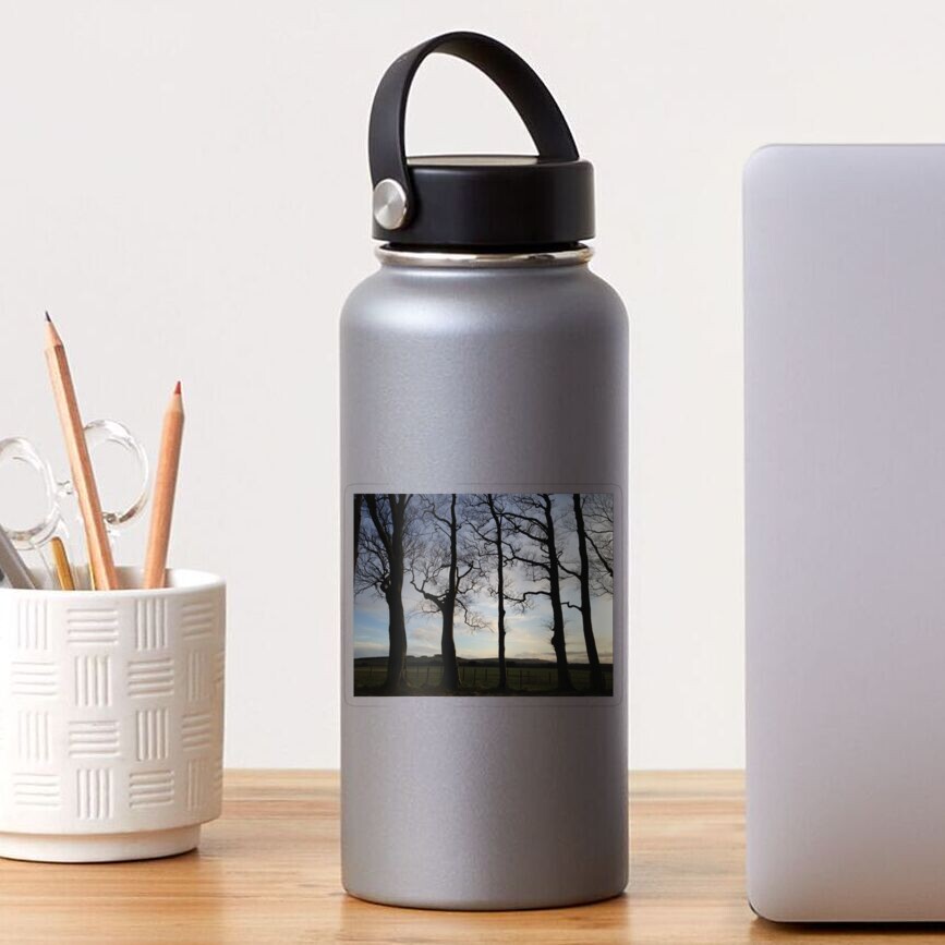 Vista previa del artículo con la obra «Pegatina transparente», diseñado y vendido por chewi.