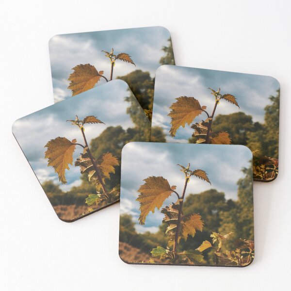 Item preview, Nature designed and sold by photography1978.