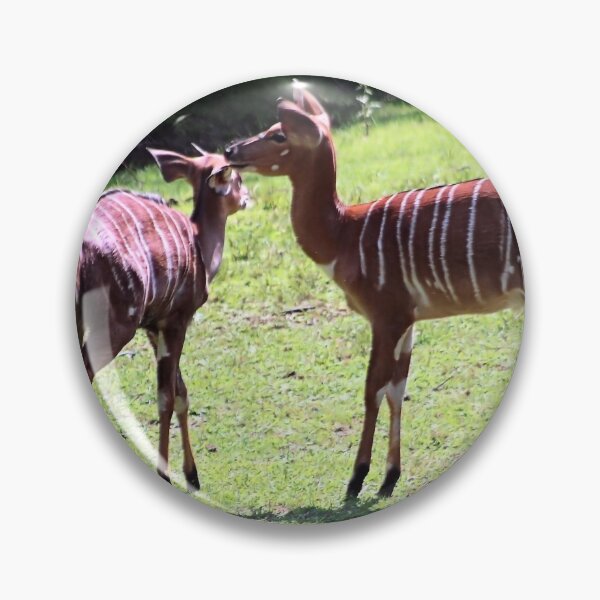 Item preview, NYALA designed and sold by BOLLA67.