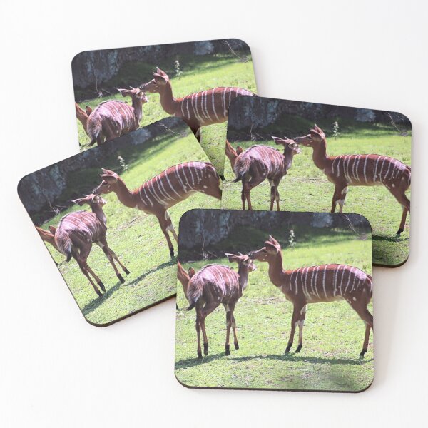 Item preview, NYALA designed and sold by BOLLA67.