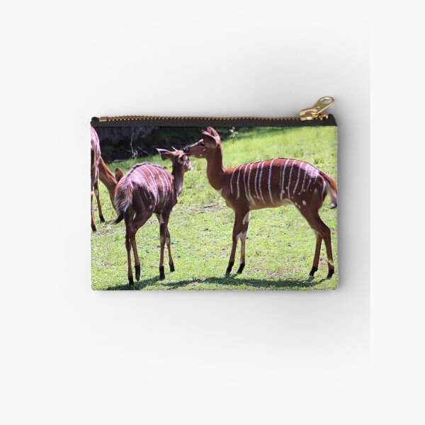 Item preview, NYALA designed and sold by BOLLA67.