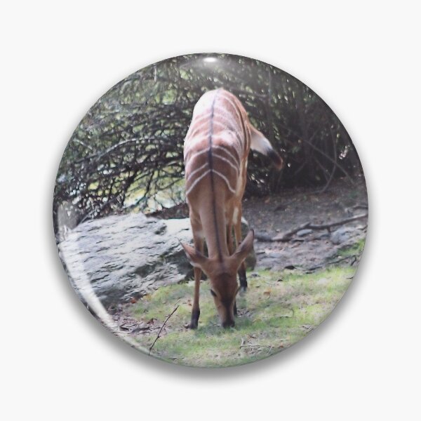 Item preview, LIL NIBBLE designed and sold by BOLLA67.