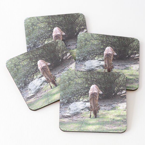 Item preview, LIL NIBBLE designed and sold by BOLLA67.