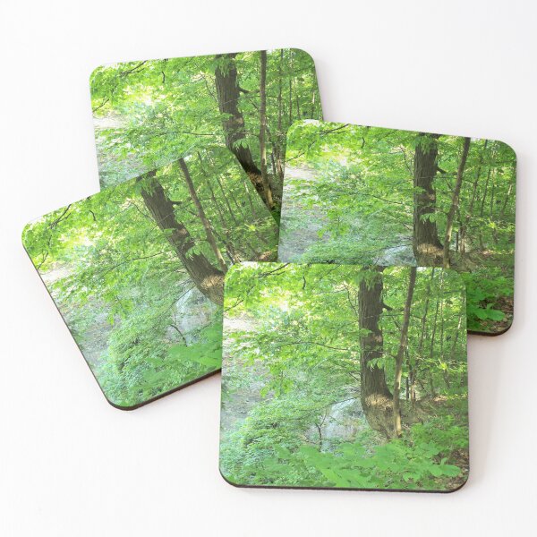 Item preview, Forest and Waterfall designed and sold by Mind2Line.