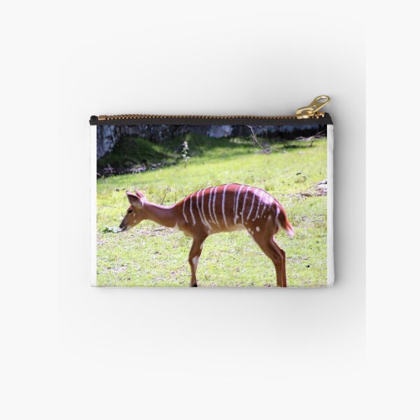 Item preview, STRIPES designed and sold by BOLLA67.