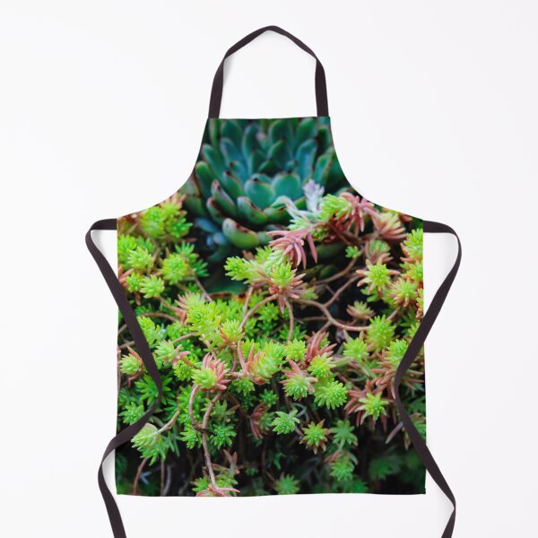 Item preview, Beautiful Succulent Design designed and sold by Marguerite Faure.