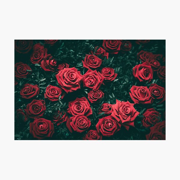 Item preview, Red Roses designed and sold by Mamibo.